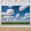 Blue Sky White Cloud Background Natural Landscape Home Party Decoration Backdrop Portrait Photography Banner Baby Shower Props