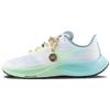 Air Zoom Pegasus 37 Butterfly Women's CZ8692-134