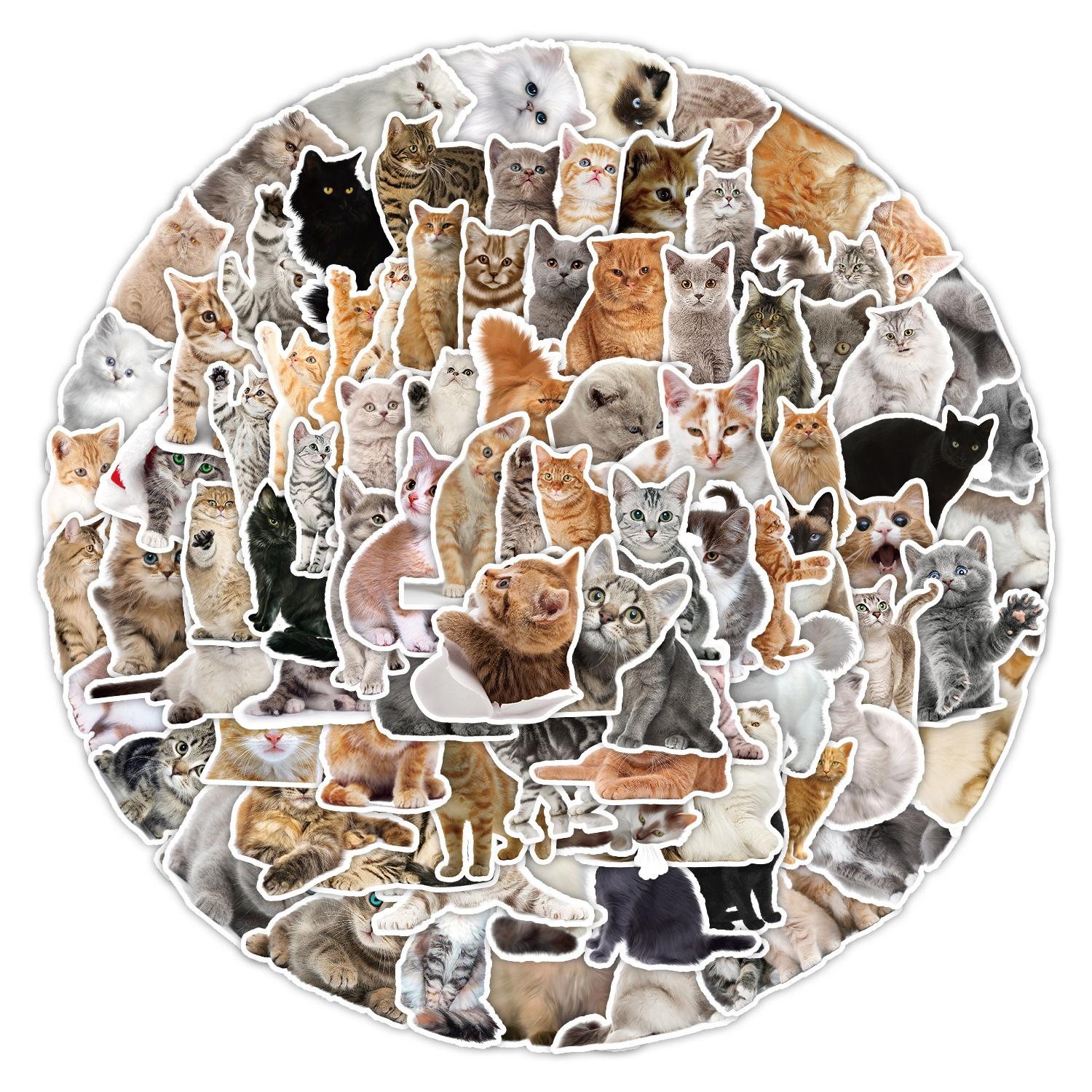 

100 Cute Cartoon Kitten Stickers Motorcycle Mobile Phone Water Cup Decoration Stickers Waterproof Creative Stationery Stickers