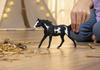 Schleich Horse Club Paint Horse 14900 (Male)