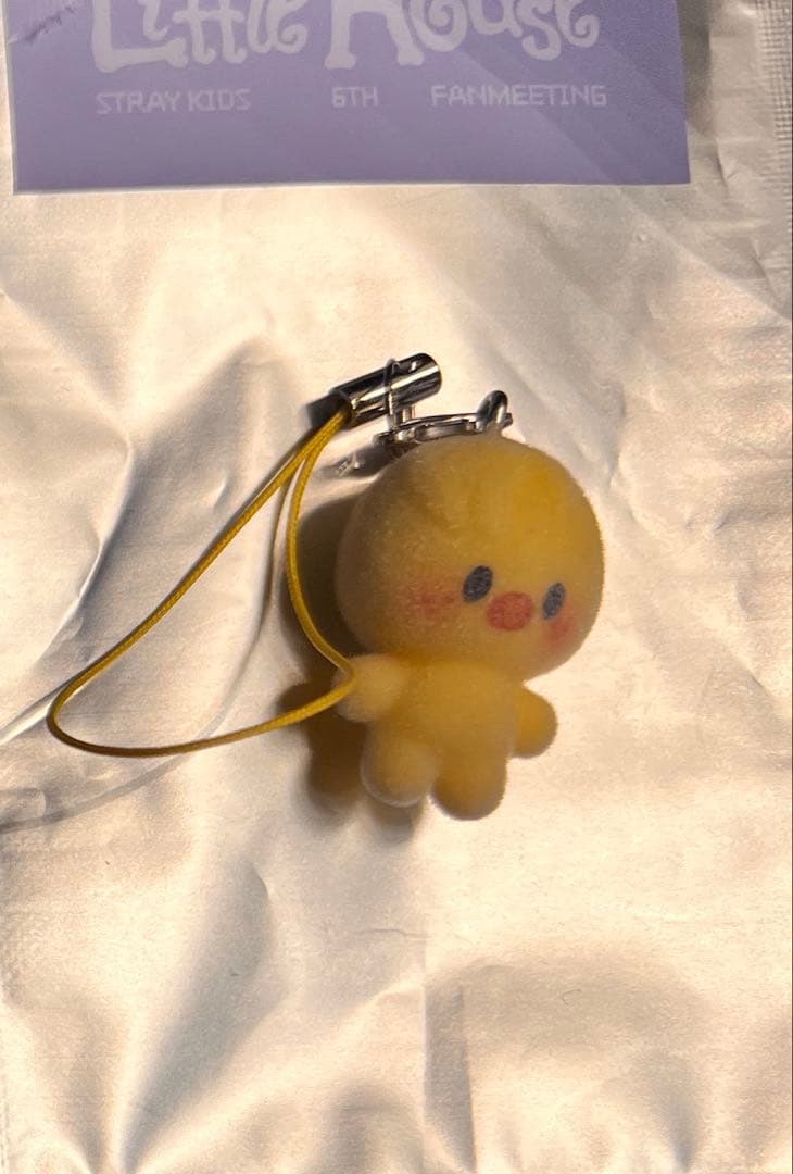 [USED] South Korea Fan Meeting Bokkari Secret Mini Charm Flocky