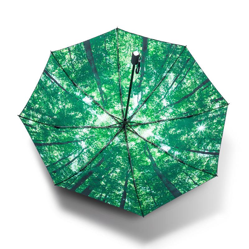 Tianqi Compact Three-Fold Sunshade Umbrella with Black Coating for Sun Protection and Rain-Resistance.