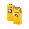 LeBron James Basketball Jersey Tops