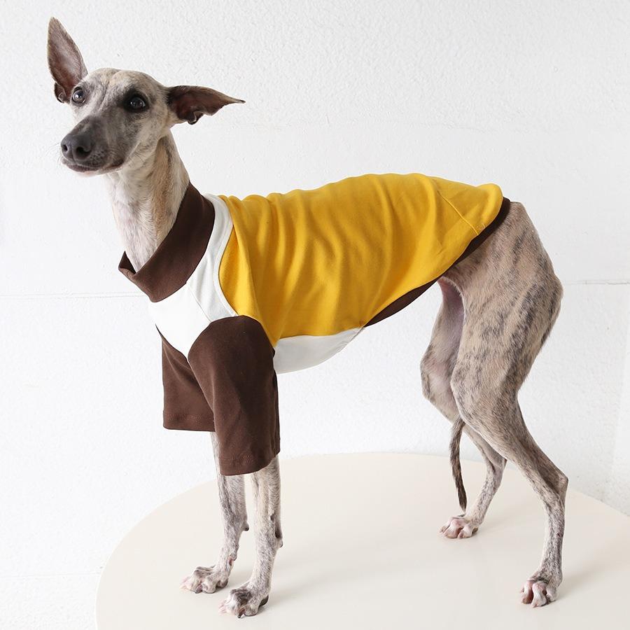 Italian Greyhound Hound Two-Legged Clothes 3colors Fashionable Multicolor Soft Comfortable Elastic Fashion Patchwork Dog Clothes