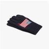 Polo Ralph Lauren Flag Touch Screen Gloves Pc1443 443