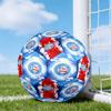 Ba-hia Sports Club Emblem Printed Size 5 Soccer Balls, High-Quality, Anti-Slip, Protective Football, A Unique Gift , Birthdays, Christmas Gifts