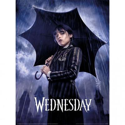 Wednesday Downpour Poster