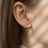 Classic Hoops (Gold)