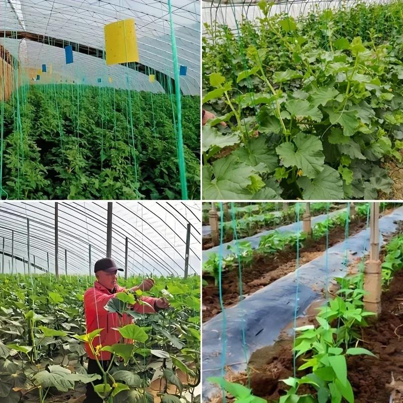 1roll of 200 Meters Reen Gardening Twine Multi-Purpose Binding Cord with Reinforced Braiding Technology