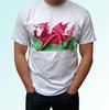 Wales Flag Design White Kids Boys T-Shirt Top Modern Tee - S S Kids Baby Sizes