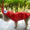 Dog Costume Lobster Shape Holiday Dress Up Funny Style Halloween Pet Two-legged Coat for Puppy