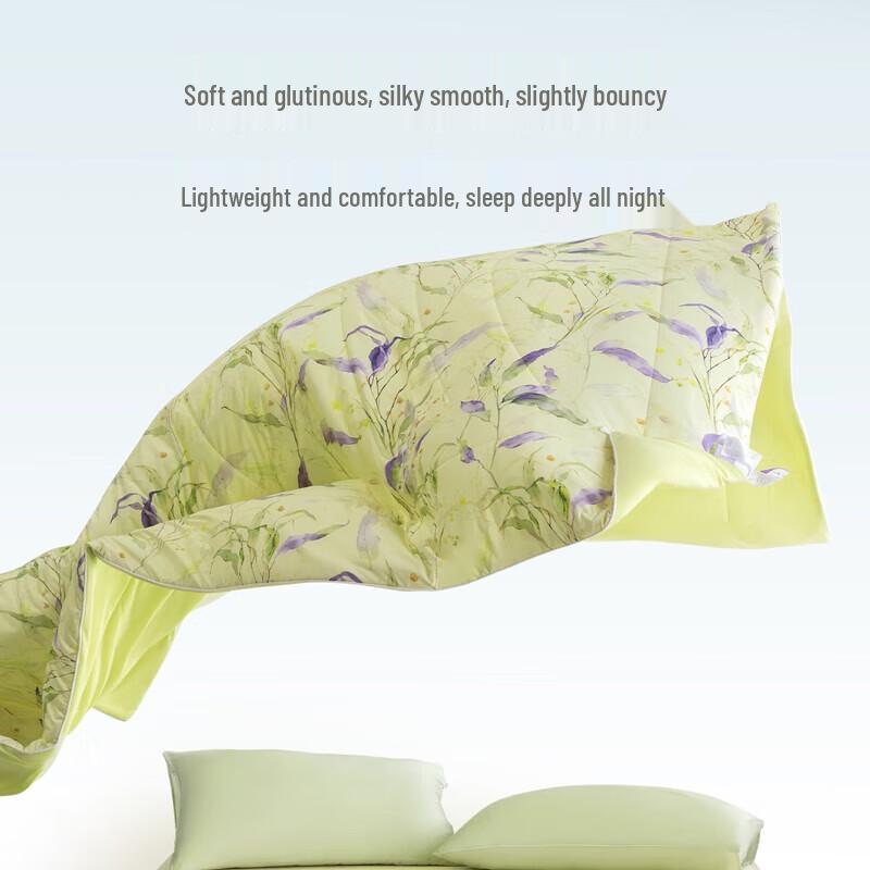 WeWoChunQing All-Season Silk Blend Duo Duvet