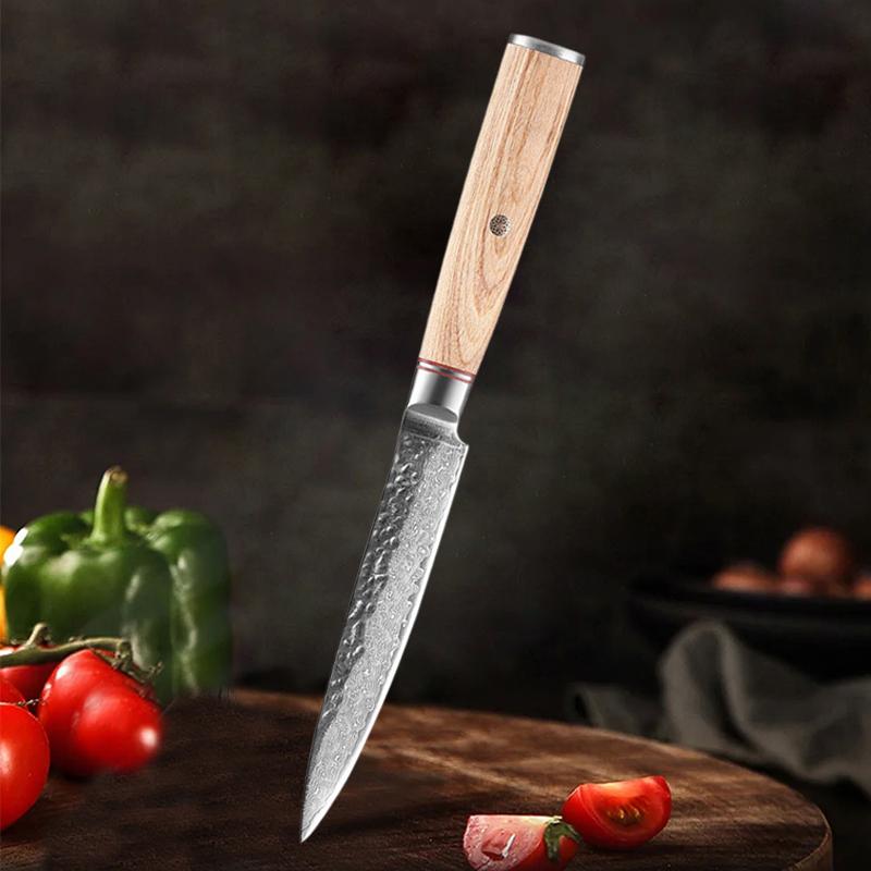 5'' Utility Knife Professional Damascus Japanese Kitchen Knife Sharp Blade Peeling Cleaver for Fish Meat Cutting Wood Handle