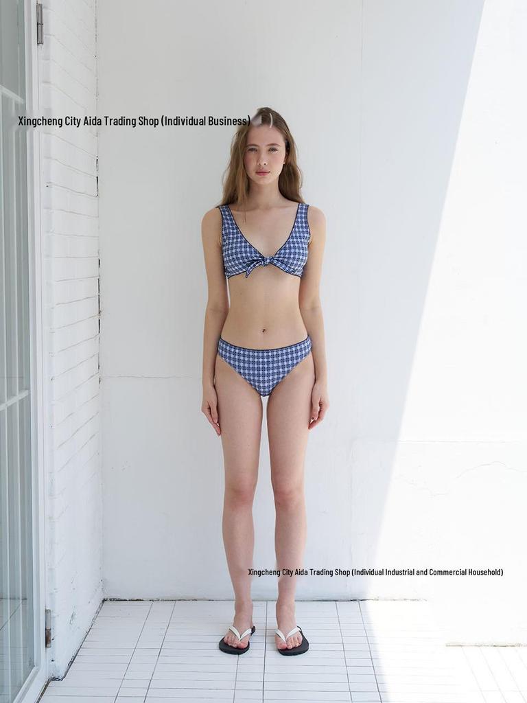 2026 Women's Sexy Deep V Three-Piece Swimwear: Japanese & Korean Bikini with Big Bust and Skirt Style