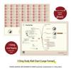 Traditional Chinese Wisdom Books Collection