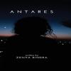 Antares by Zenya Bindra Hardback Book 9781636402765