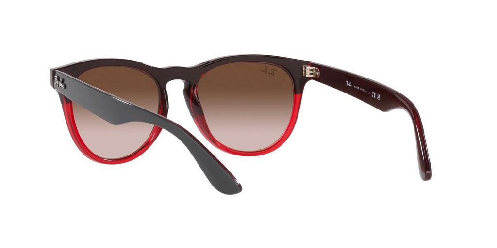 Sunglasses RB4471 IRIS 663113 GRAY ON TRANSPARENT RED 54 [Ray-Ban]