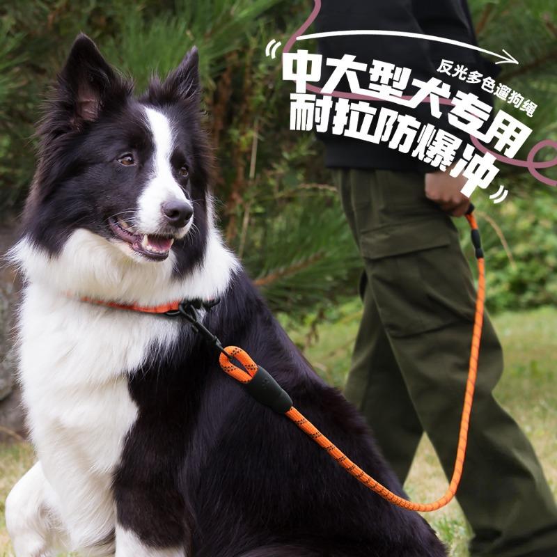New Nylon Reflective Round Rope Dog Outdoor Traction Pet Traction Rope Multi-color Medium and Large Dog Walking Rope Traction Rope