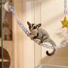Hanging Avian Enclosure Toys Long-Lasting Avian Chewing Toy Chain Parrot Perch Chain Multi-Functional Pet Accessory Colorful