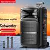 Newsmy Portable Bluetooth Trolley Speaker for Outdoor KTV & Events (CN version)