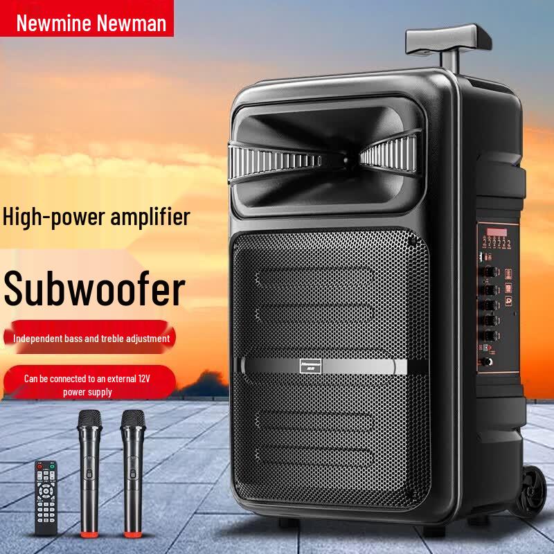 Newsmy Portable Bluetooth Trolley Speaker for Outdoor KTV & Events (CN version)