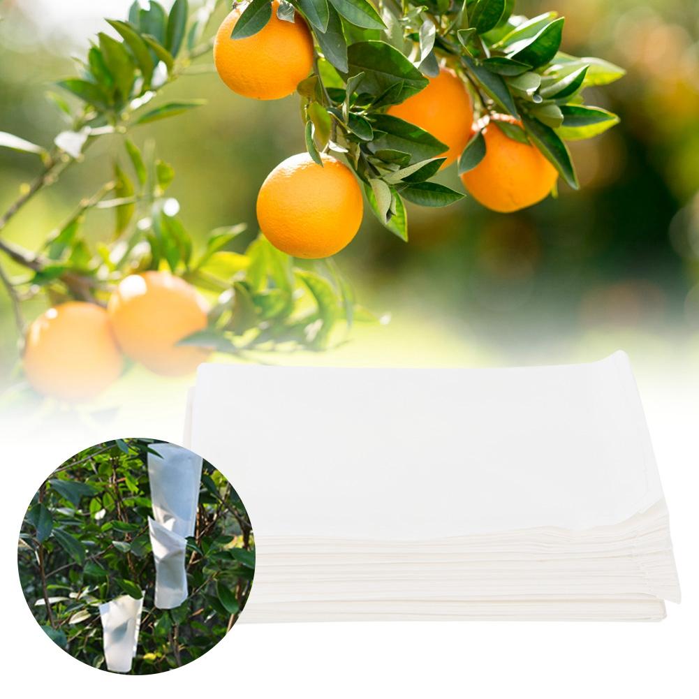 Envelop Vegetable Parchment Seeds Breeding Storage Bag for Home Garden Use (100pcs 16x10cm)
