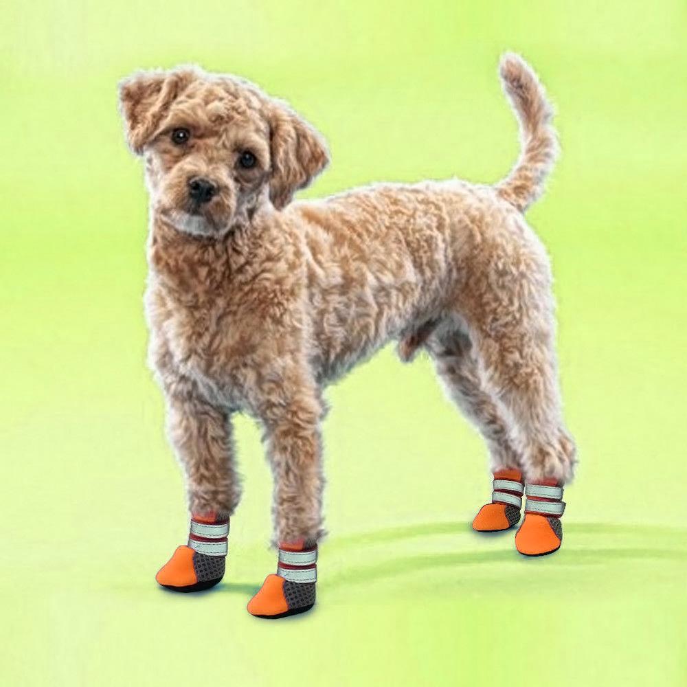 tall dog booties
