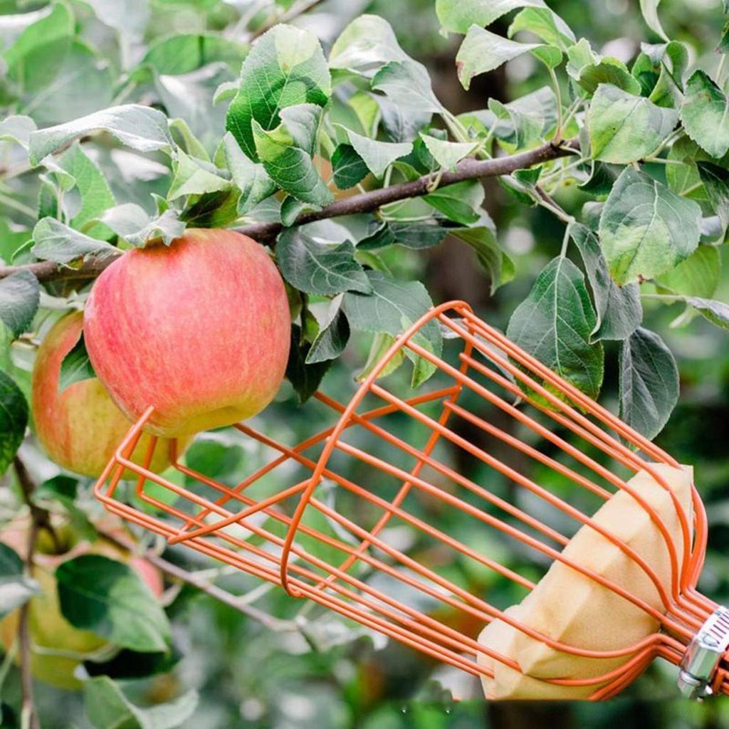 Farm Garden Picking Device Garden Tools Deep Basket Fruit Picker Head Convenient Fruit Catcher Apples Peach Picking