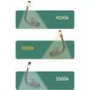 Portable LED Book Light Adjustable Reading Book Light High Quality Mini Table Lamp  Bedroom
