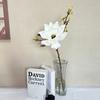EVA Simulation Big Magnolia Floral Art Artificial Orchid Flowers Fake Flower  Living Room Desktop