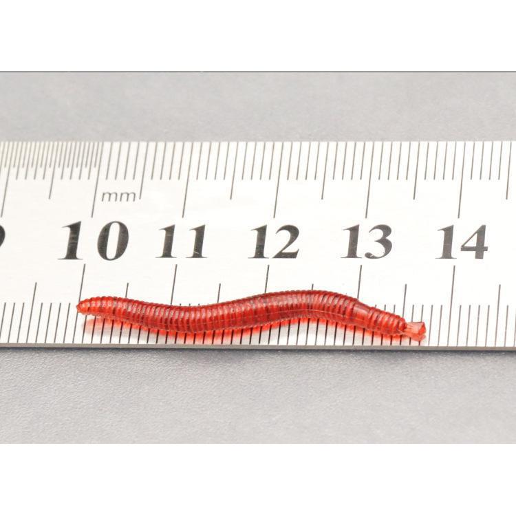 Esca Morbida da 3,5 cm all'Odore di Pesce: Lombrichi Vivi, Lombrichi Rossi & Larve Esca per Pesca da Tavola.