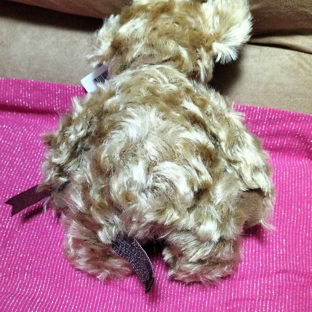 [USED] Fields? Bear, Stuffed Animal, Teddy Bear