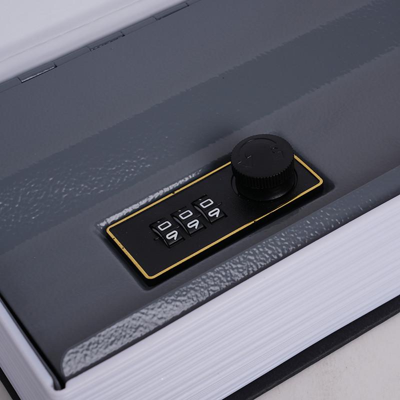 Storage Safe Book English Dictionary