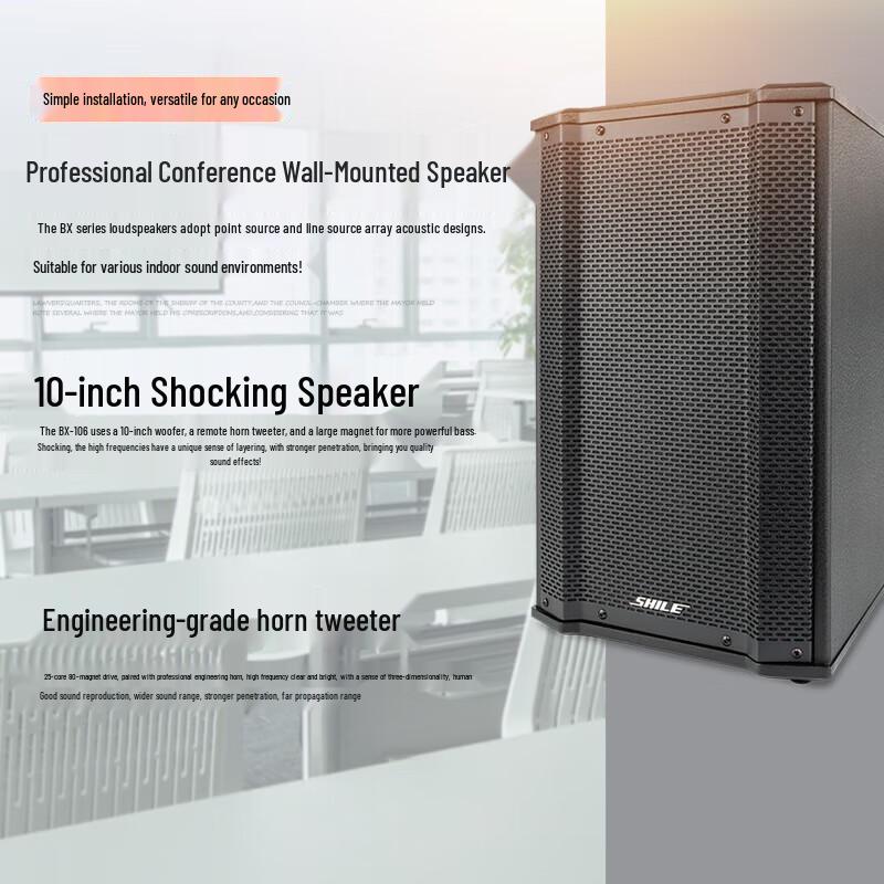 SHILE 10-inch Conference Wall-Mounted Audio System CN plug (adapter included) (CN version)
