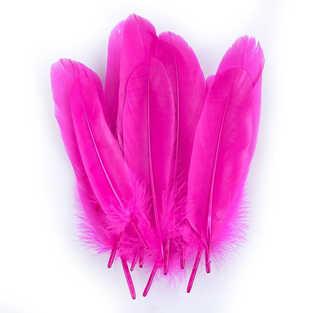 50 Colored Goose Feathers for DIY Dreamcatchers and Art Projects