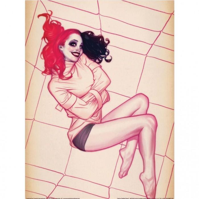 DC Comics Padded Room Harley Quinn Print