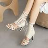 Spring and Summer New Women's High-heeled Sandals Sweet Rubber Sole Large Size Black Women's Shoes Lace-up Fish Mouth Roman High Heels