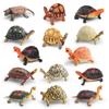 Simulation Turtle Model Realistic Tortoise Figurine Miniature Animal Educational Toy Home Office Desktop Decoration Ornament