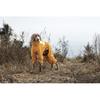 Large Dog Waterproof Winter Jumpsuit – Full Coverage Outdoor Windproof Reflective Dog Coat with Fleece Lining