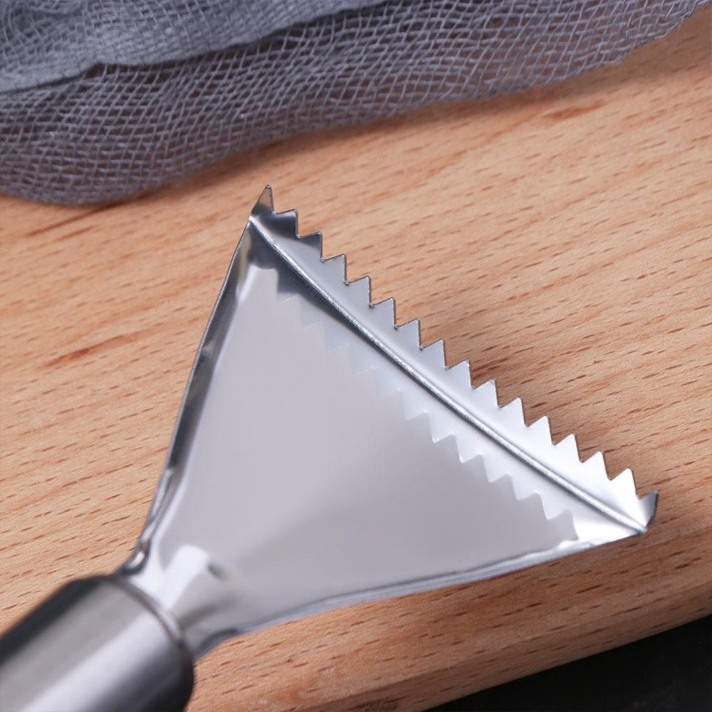 4pcs Fast Remove Fish Scales Scraping Graters Manual Fish Scale Cleaning Tool Home Use