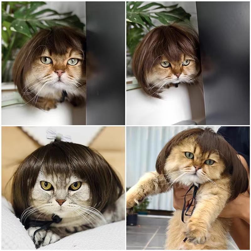 Peruca para animais de estimação, acessórios para cosplay de gatos, cabelo liso e cacheado, suprimentos para fantasias de filhotes, fotografia criativa de travestismo para cães, pegadinha engraçada