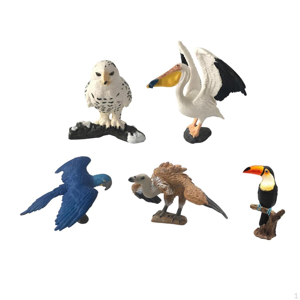 Bird Figurines Set for Children's Play And Decoration