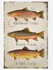 Panneau en métal 'Cusde Rainbow Trout' Boîte en fer blanc Art Mural Truite de ruisseau Décoration Vintage Rétro Marron Affiche Plaques Décoration Drôle Nouveauté Garage Pièce