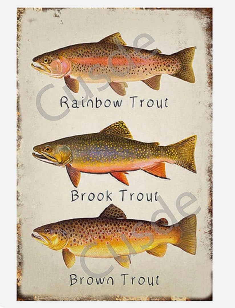 Cusde Rainbow Trout Metal Tin Sign Brook Wall Art Brown Vintage Retro Decoration Poster Plaques Decor Funny Novelty Garage Room aluminum 20x30cm