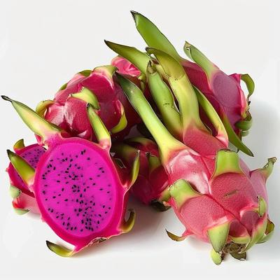 60 Dragon Fruit Seeds (Pitaya) - Semi-Wild Permaculture