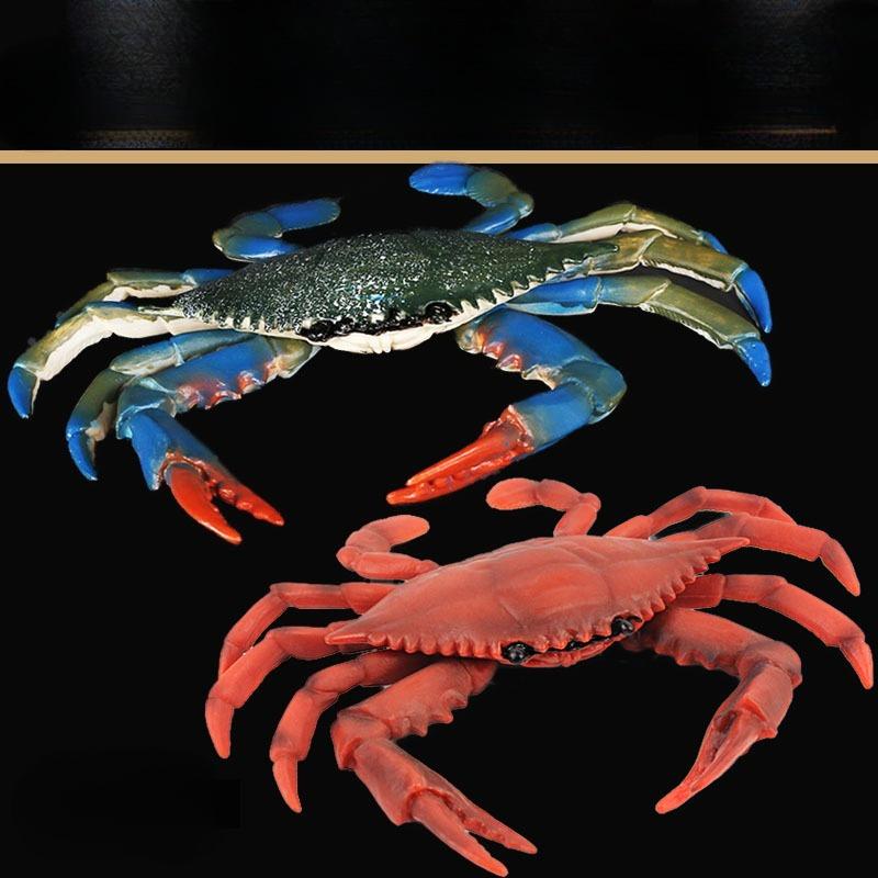 1Pc Children's Fun Educational Marine Biology Simulation Model, Solid Crab, Blue-footed Crab Animal Toys