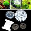 Crystal Shrimp Floating Plant Ball – Live Aquatic Plant for Shrimp Habitat