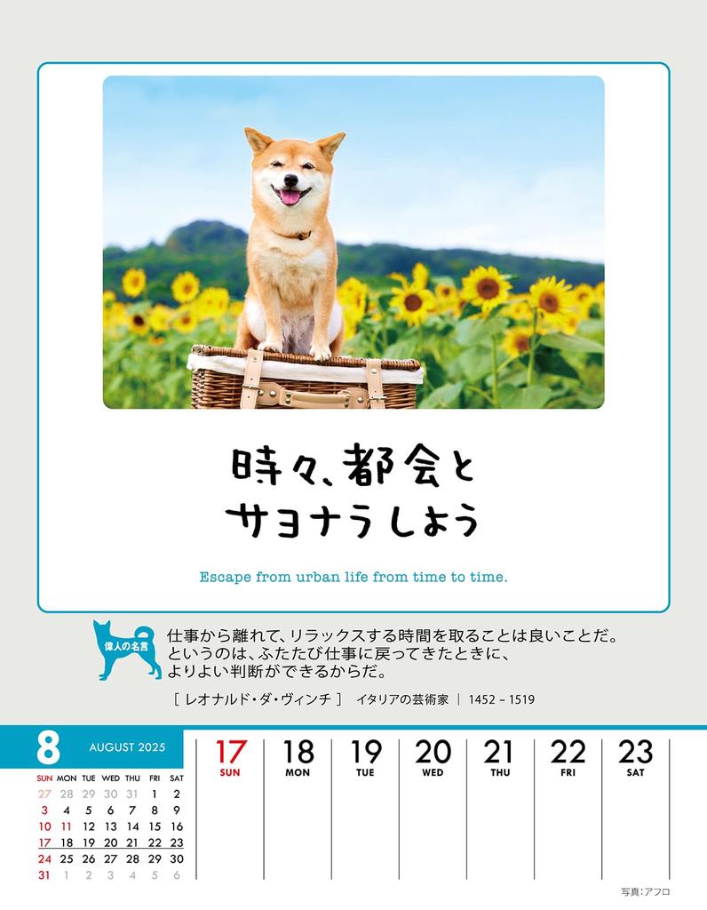 Tri-X Life Is One Chance! Tabletop/Wall 2025 Calendar CL-383 18×14cm
