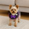 Pet Supplies Adjustable Halloween Pet Lace Collar Decorative Comfortable Pet Pumpkin Necklace Spider Ghost Pet Bib Scarf Party