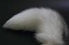 ZhichunLee Real FoxRaccoon Tail Charm with Golden Keychain, Perfect for Cosplay and Fashion, White, Large